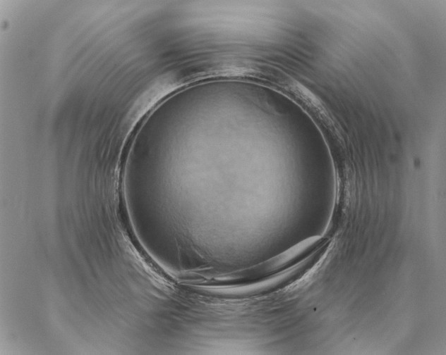X0000087351178200704201114