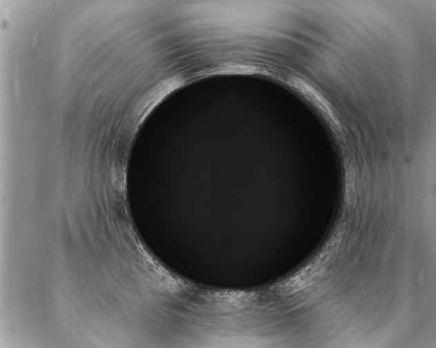 X0000087351193200704201114