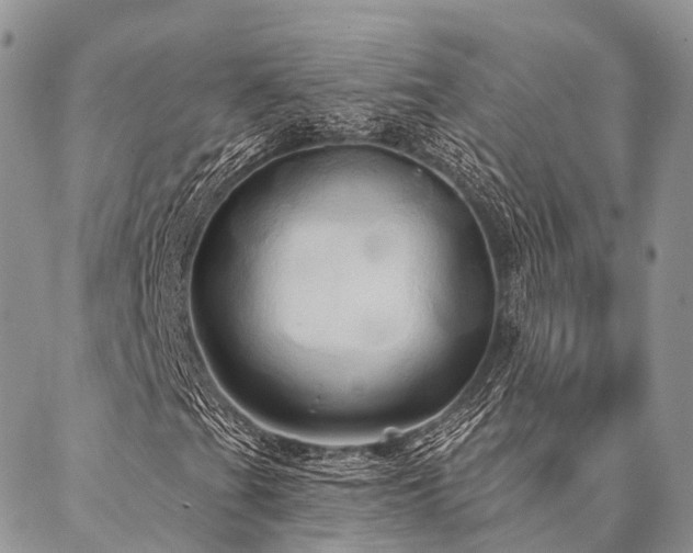 X0000087351201200704201113