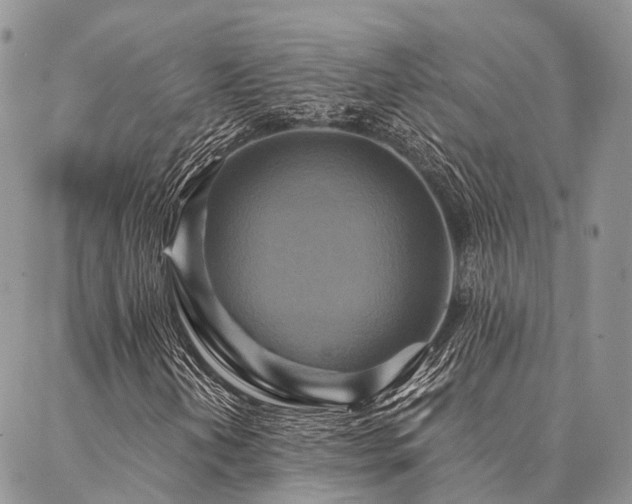 X0000087351202200704201113