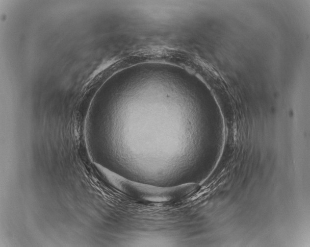 X0000087351206200704201113