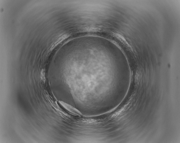 X0000087351209200704201113