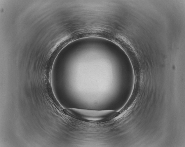 X0000087351210200704201113