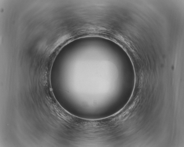 X0000087351211200704201113