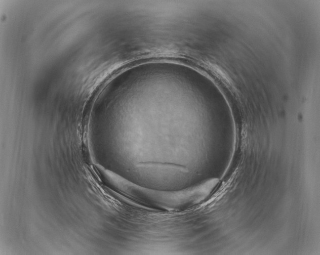 X0000087351212200704201113