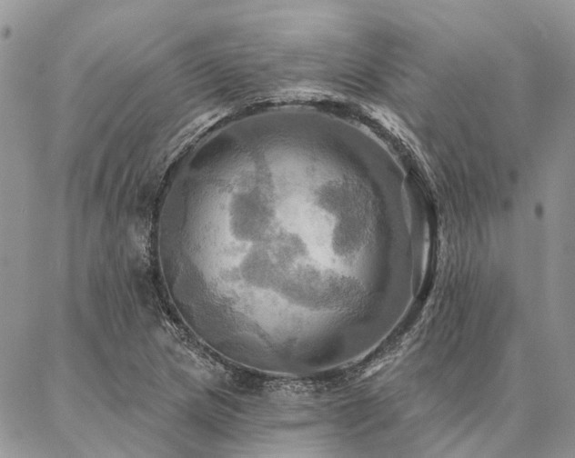 X0000087351217200704201114