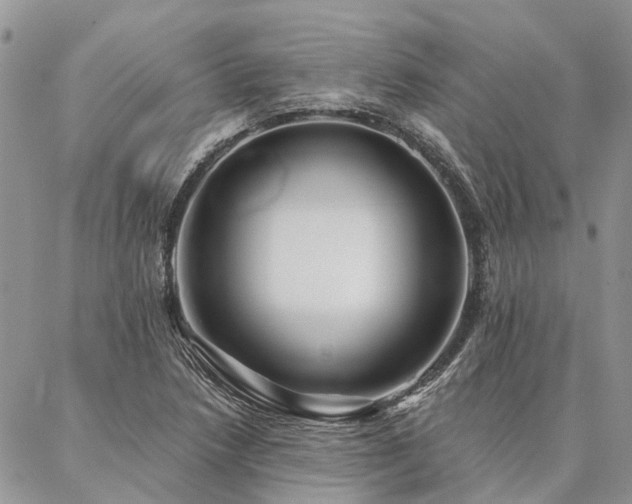 X0000087351218200704201114