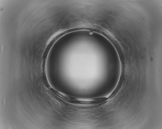 X0000087351222200704201114