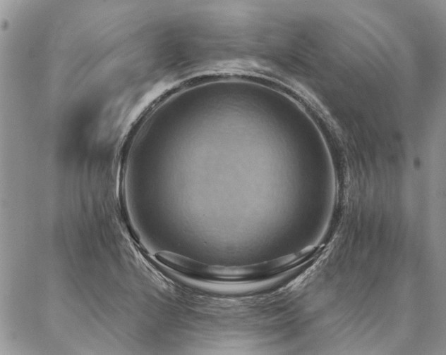 X0000087351224200704201114