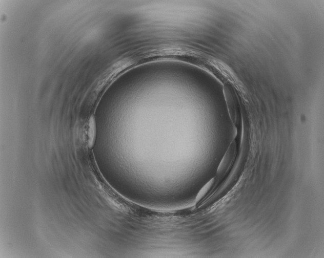 X0000087351225200704201114