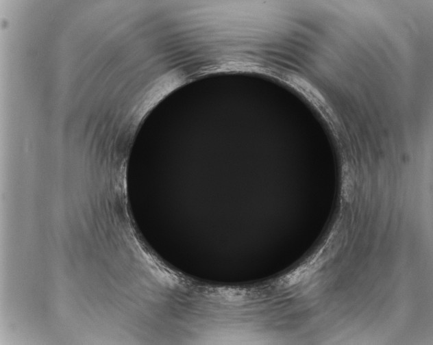X0000087351241200704201114
