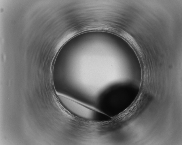 X0000087351242200704201114