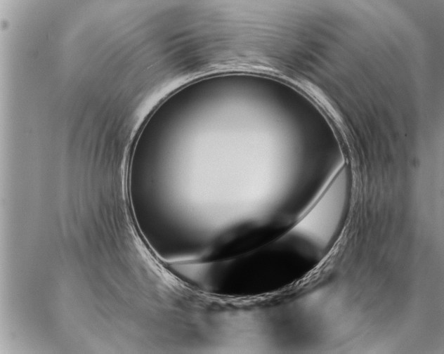 X0000087351246200704201114