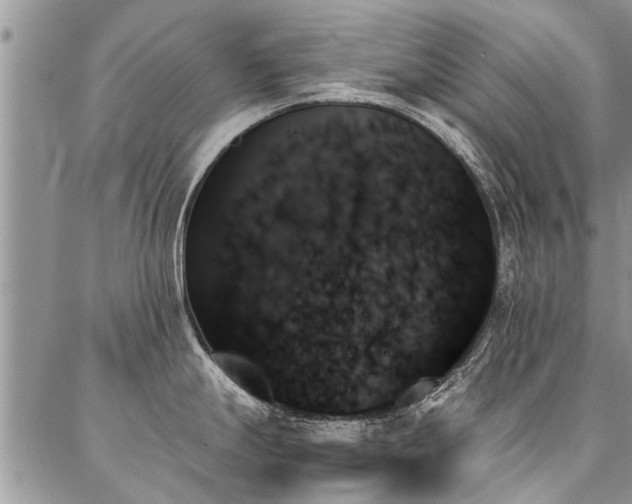 X0000087351247200704201114