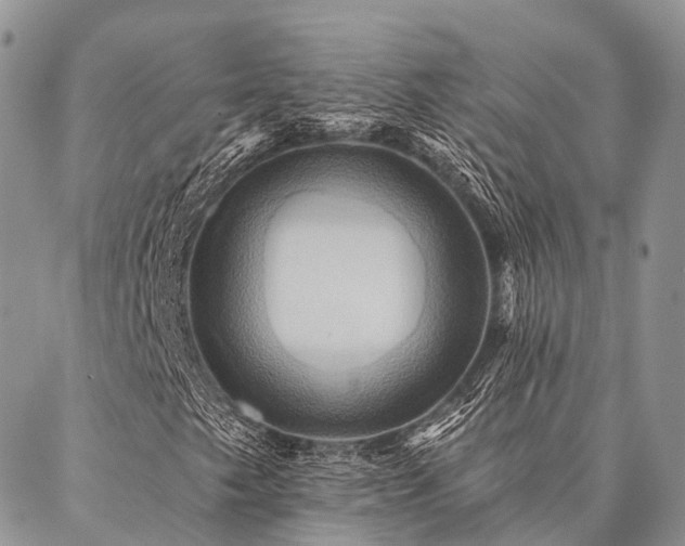 X0000087351249200704201113