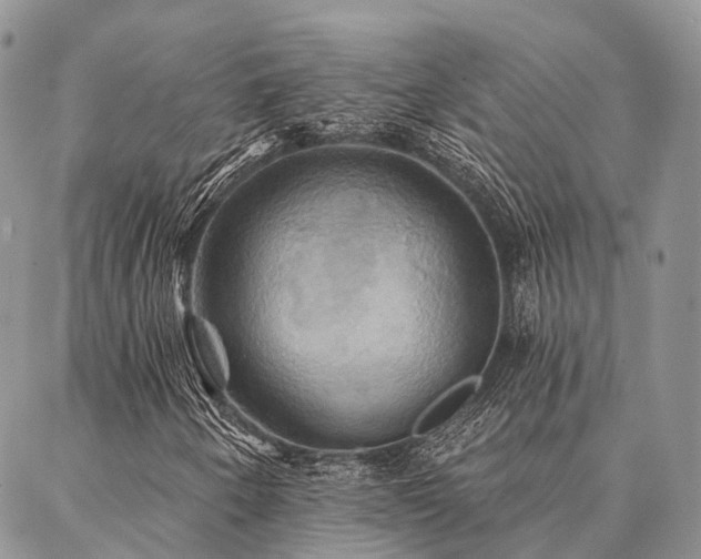 X0000087351250200704201113