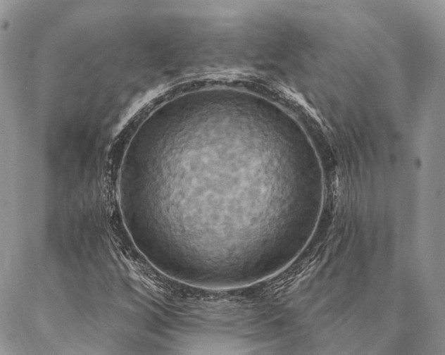 X0000087351256200704201113