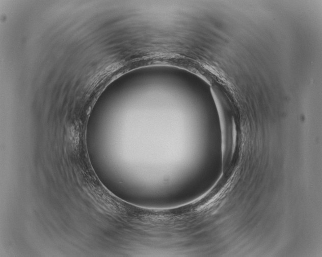 X0000087351257200704201113