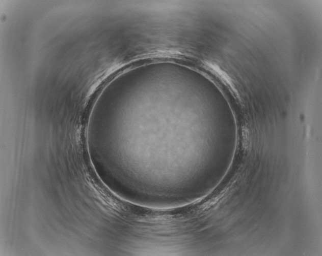 X0000087351260200704201113