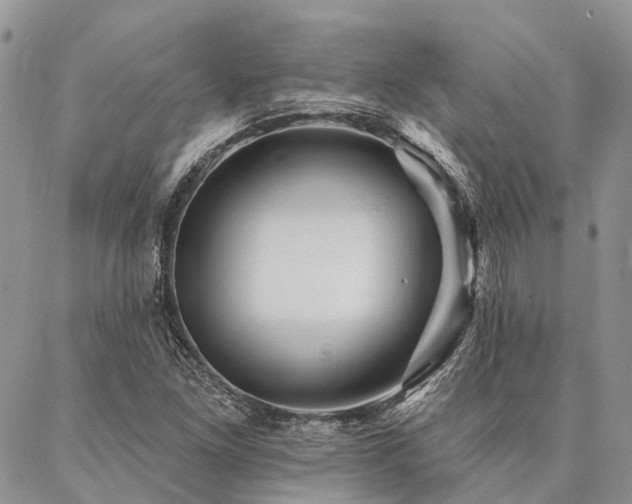 X0000087351261200704201113