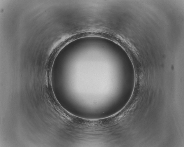 X0000087351262200704201113