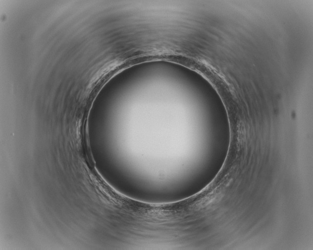 X0000087351265200704201113
