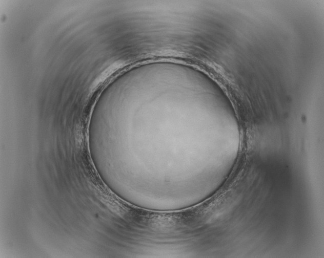 X0000087351266200704201113