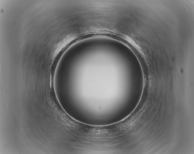 X0000087351269200704201113