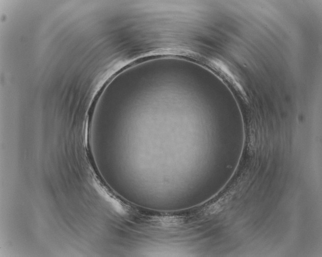 X0000087351276200704201113