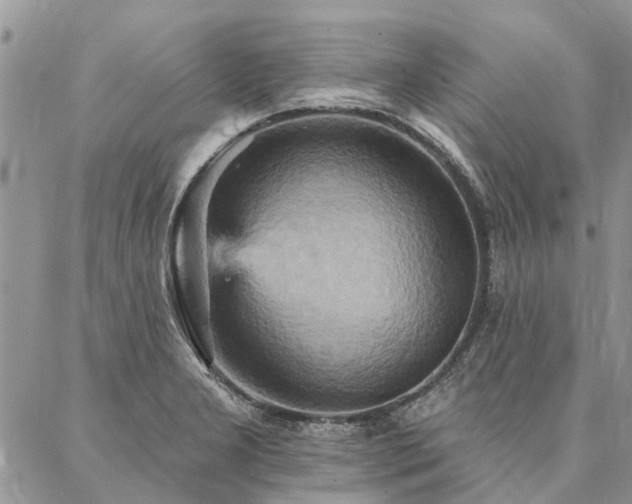 X0000087351277200704201113