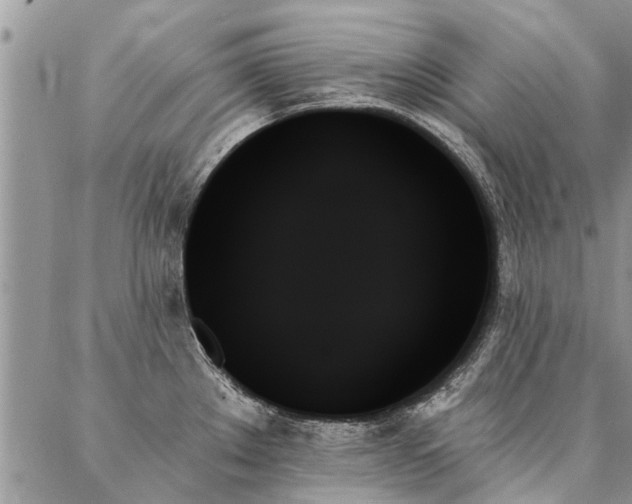 X0000087351289200704201113