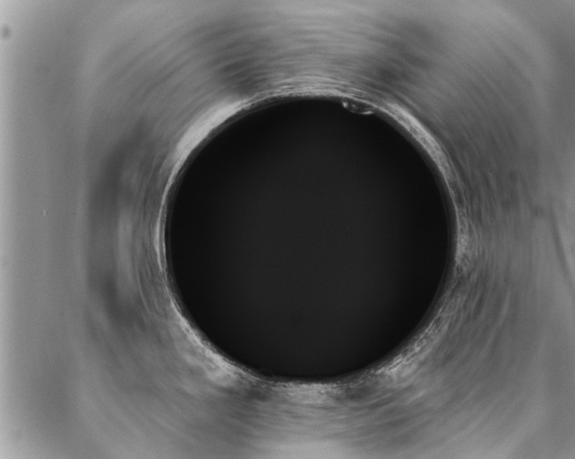 X0000087351293200704201113