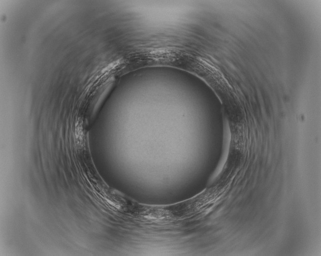 X0000087351298200704201112