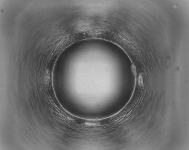 X0000087351299200704201112