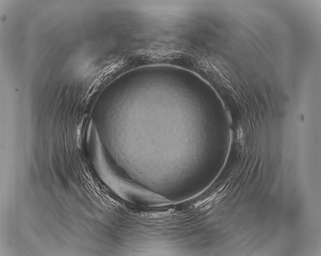 X0000087351300200704201112