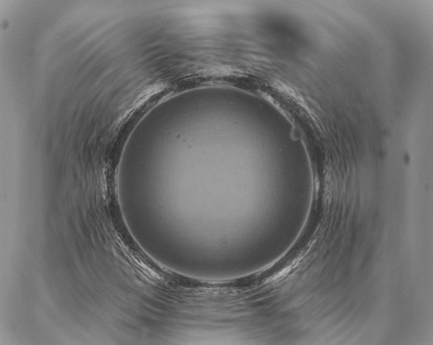 X0000087351305200704201112