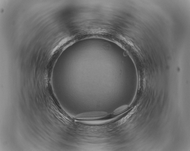 X0000087351306200704201112