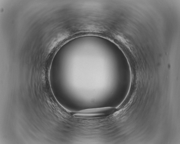 X0000087351307200704201112