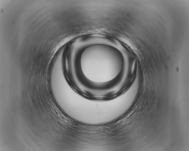 X0000087351308200704201112