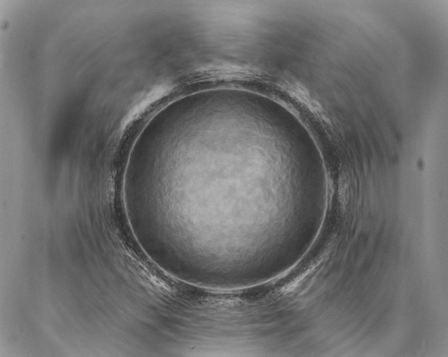 X0000087351309200704201112