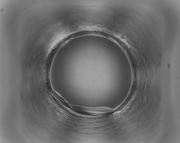 X0000087351311200704201112