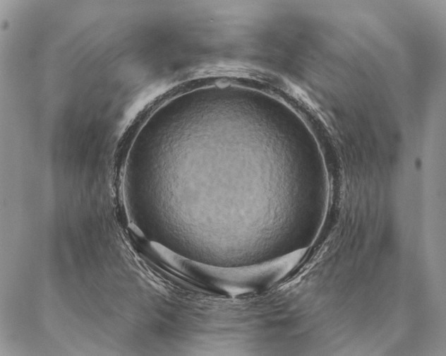 X0000087351312200704201112