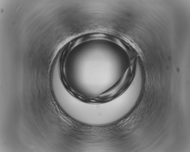 X0000087351316200704201112