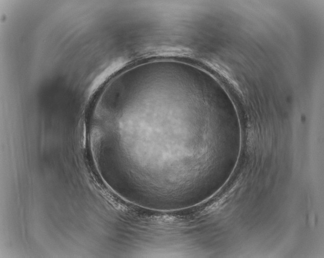 X0000087351317200704201112