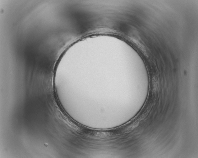 X0000087351322200704201112