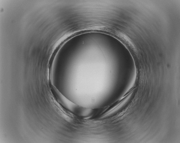 X0000087351324200704201112