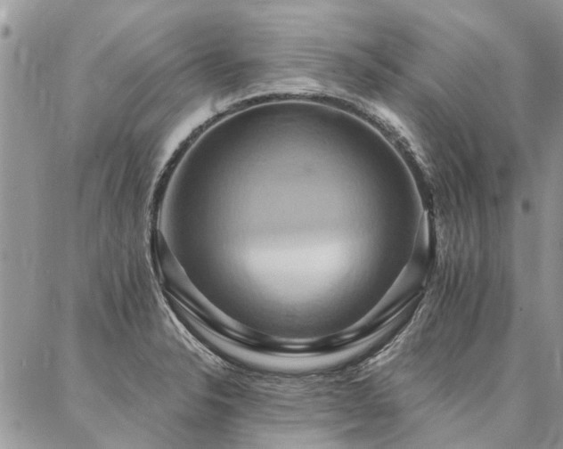 X0000087351326200704201112
