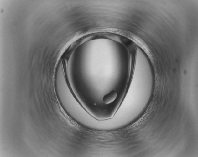 X0000087351332200704201112