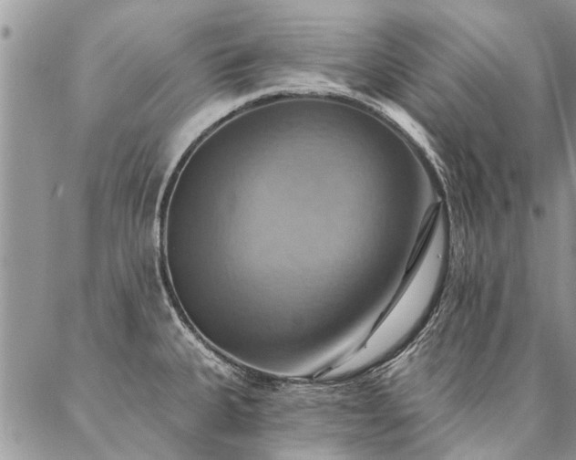 X0000087351335200704201112