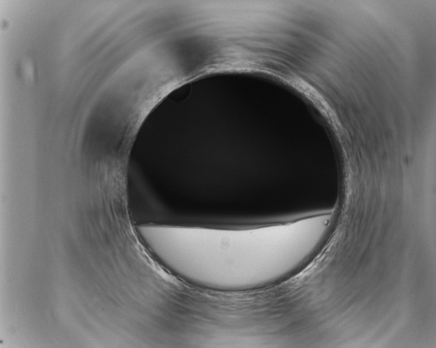X0000087351337200704201112